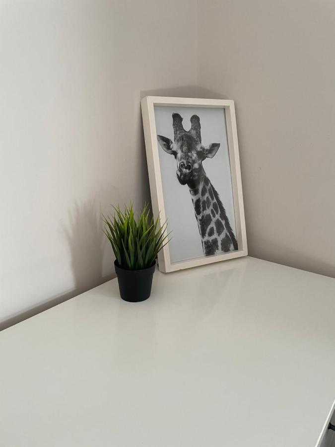 The Corner House - Modern Chesterfield Town Centre Apartments 외부 사진